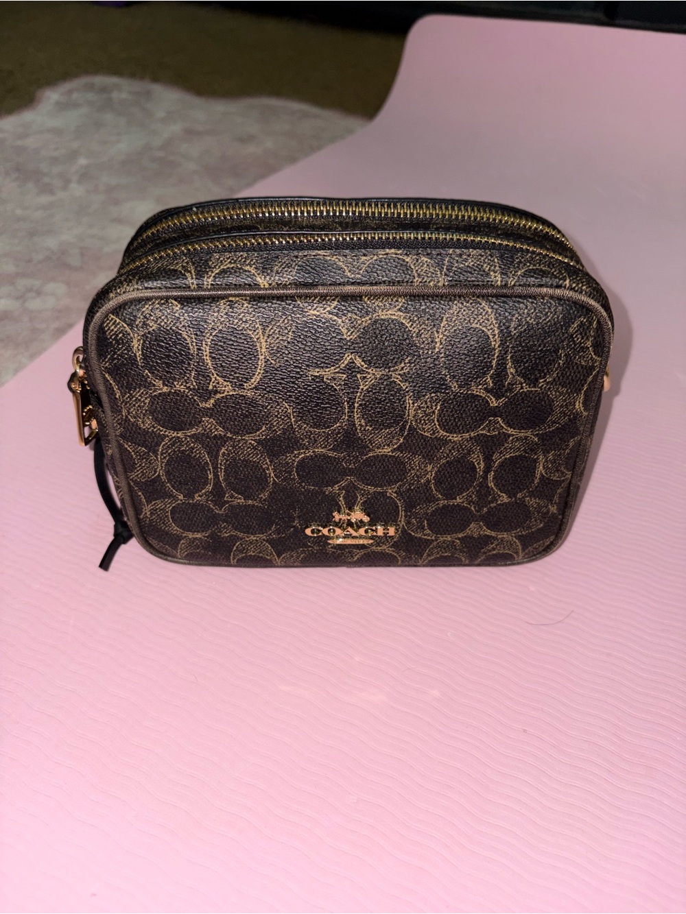 Coach Mini Carey Loved Leather Bag